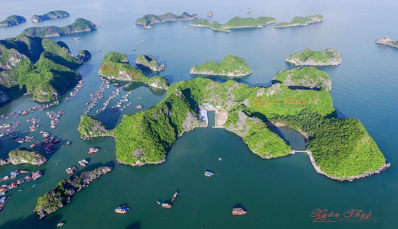 Cat Ba Hostel Cat Ba Island Exteriér fotografie