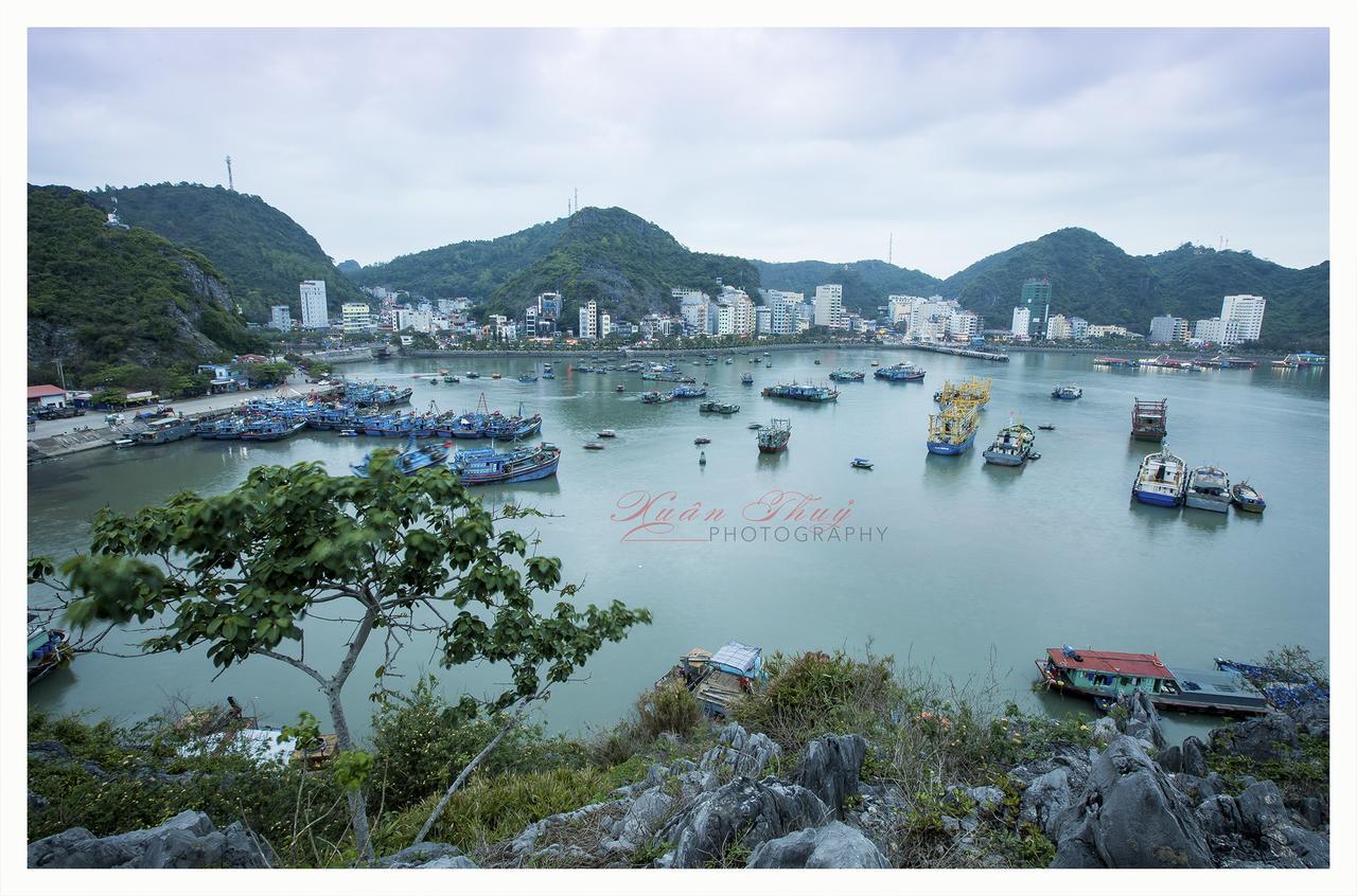 Cat Ba Hostel Cat Ba Island Exteriér fotografie