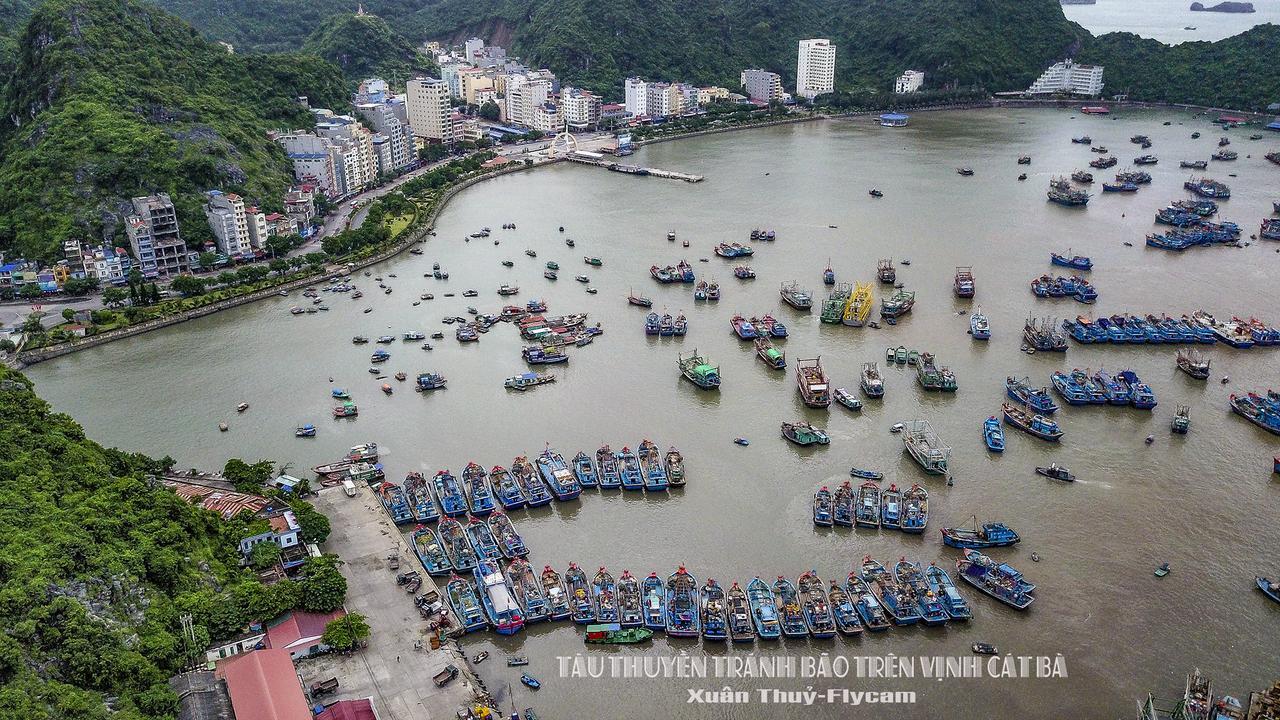 Cat Ba Hostel Cat Ba Island Exteriér fotografie