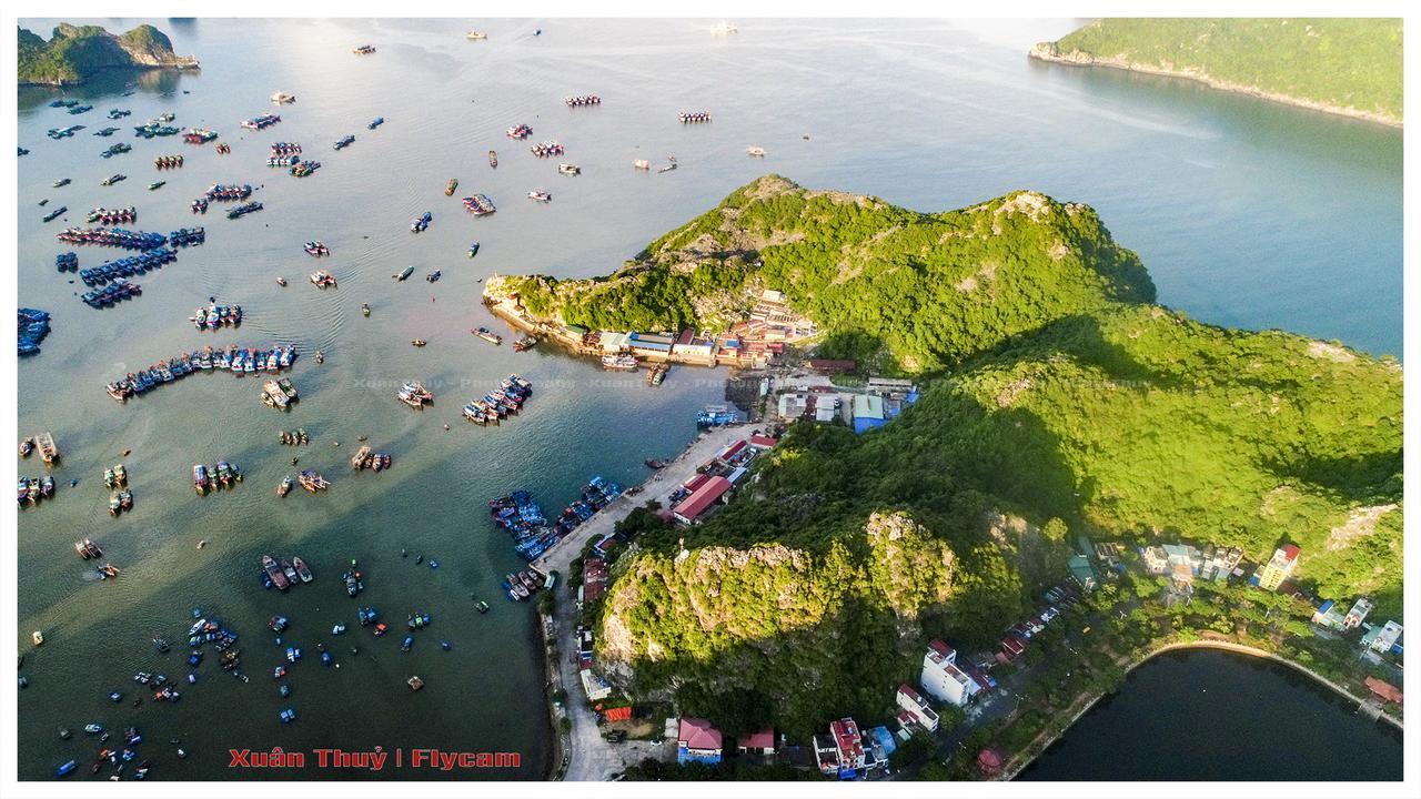 Cat Ba Hostel Cat Ba Island Exteriér fotografie
